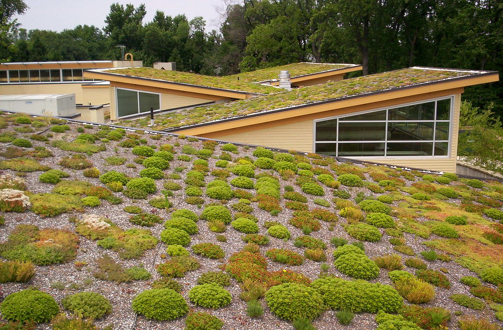 A DIY Guide to building your own eco enhancing Green Roof Garden