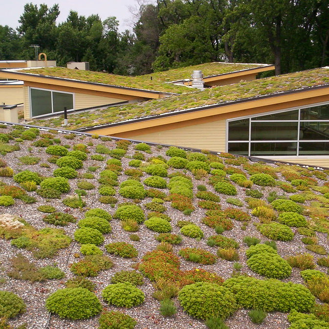 A DIY Guide to building your own eco enhancing Green Roof Garden