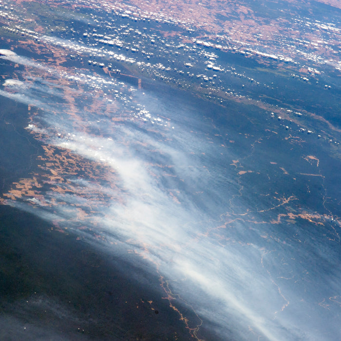 Here's what we know about the fires in the Amazon rainforest, by Susan Scutti