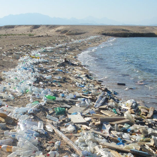 An Irish teenager may have a solution for a plastic-free ocean, by Alisha Ebrahimji